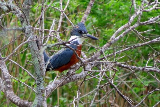 World Birding Center